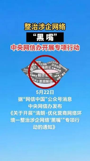 涉企网络黑嘴整治(涉企网络黑嘴整治措施)