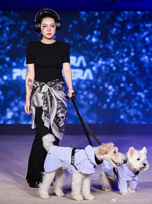 宠物变装时装周(宠物时装秀)