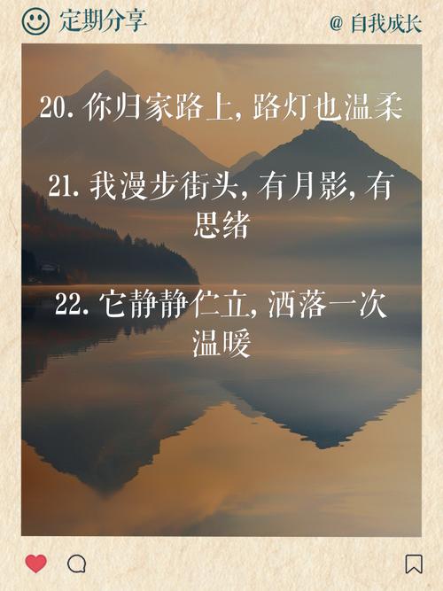 路灯为夜归人延时(路灯只是温暖夜归人的说说)