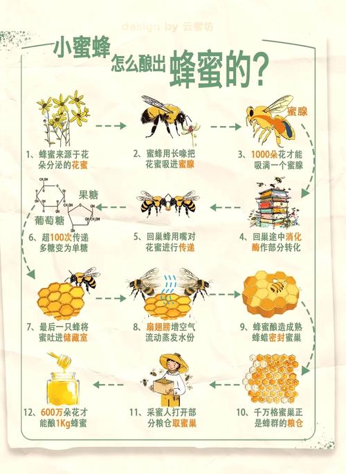 蜜蜂学会开瓶盖(蜜蜂打开饮料瓶)