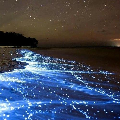 荧光海滩重现(荧光海滩的寓意)