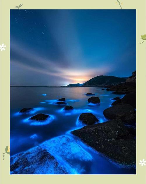 荧光海滩重现(荧光海滩的寓意)