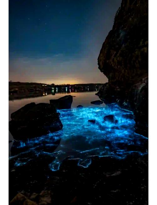 荧光海滩重现(荧光海滩的寓意)