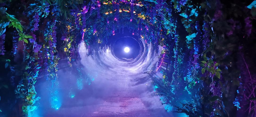 萤火虫灯光秀(萤火虫效果 灯光秀)