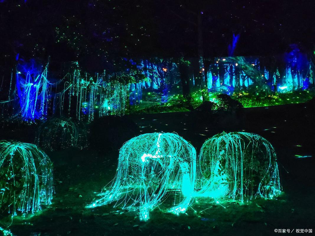 萤火虫灯光秀(萤火虫效果 灯光秀)