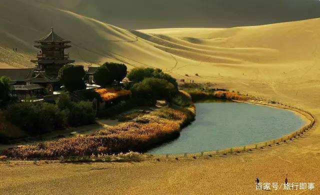 沙漠下起「鱼雨」(沙漠雨的下一句)
