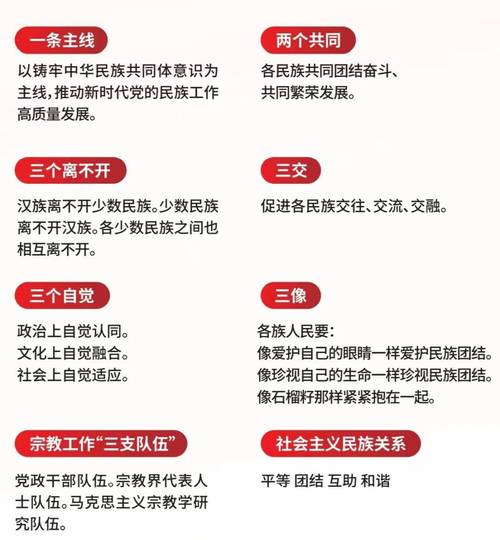 民族团结进步促进法审议（促进民族团结的法律法规）