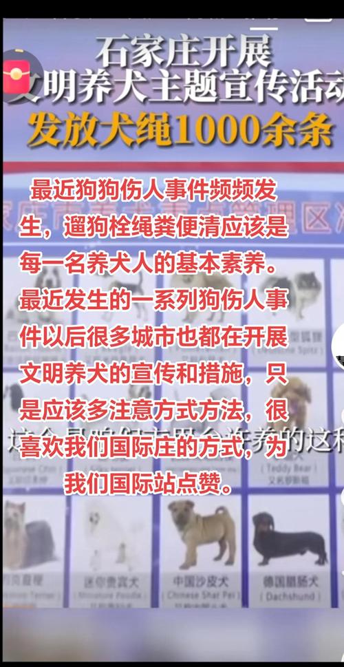 宠物伤人事件（宠物伤人案件）