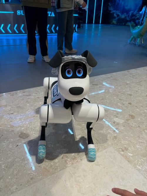 退休教师养200只机器狗(退休教师养200只机器狗可以吗)