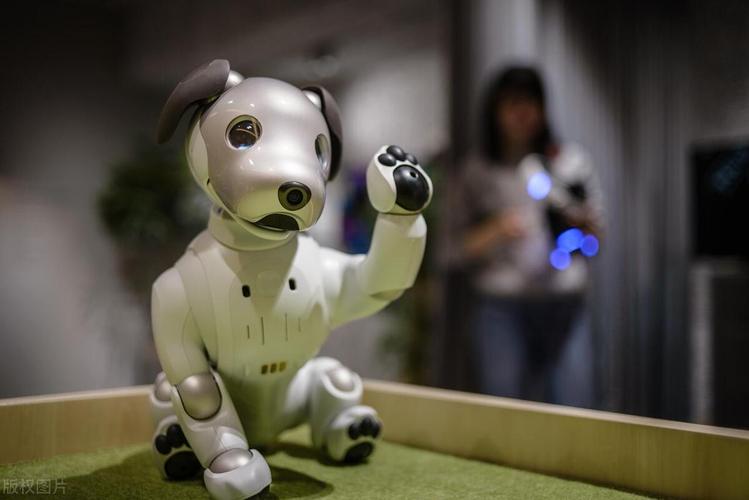 退休教师养200只机器狗(退休教师养200只机器狗可以吗)