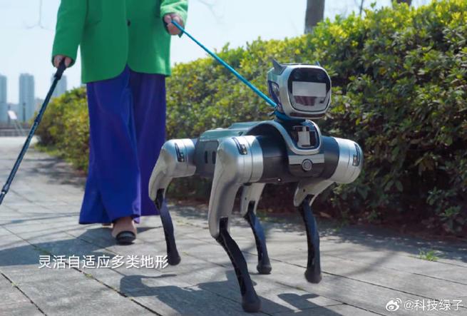 退休教师养200只机器狗(退休教师养200只机器狗可以吗)