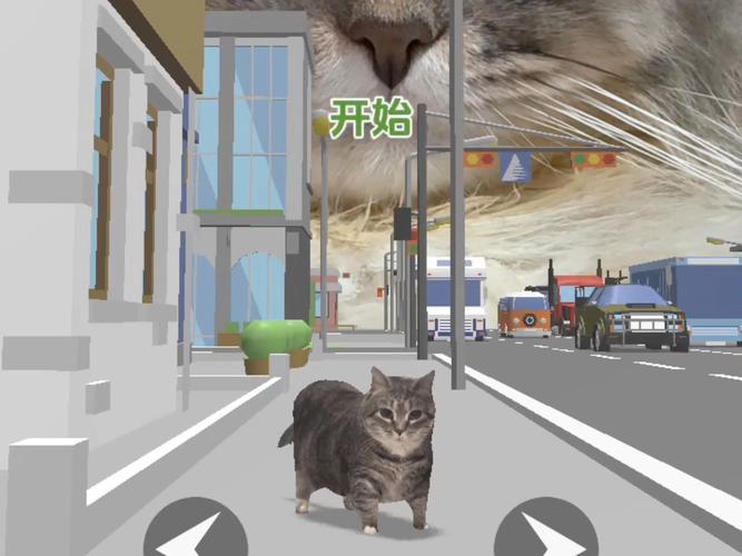 猫咪指挥交通（猫咪指路）