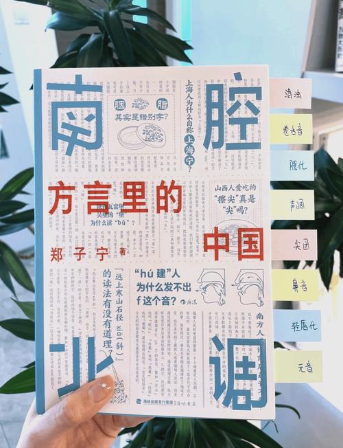 方言保护游戏(方言保护的例子)