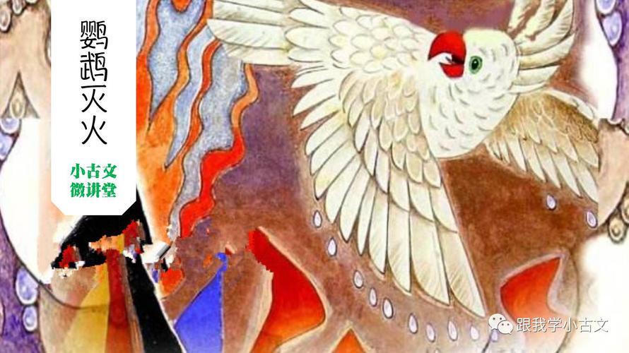 鹦鹉报警灭火(鹦鹉救火)