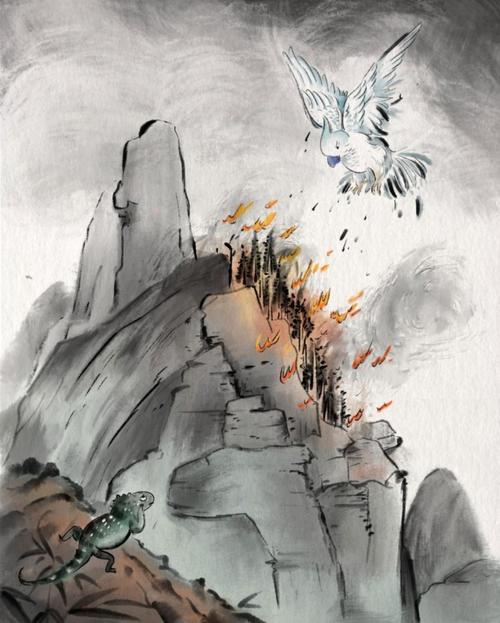 鹦鹉报警灭火(鹦鹉救火)