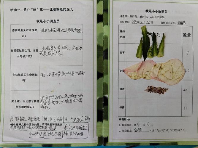 植物「唱歌」实验(给植物唱歌真的能让植物快快长大吗)