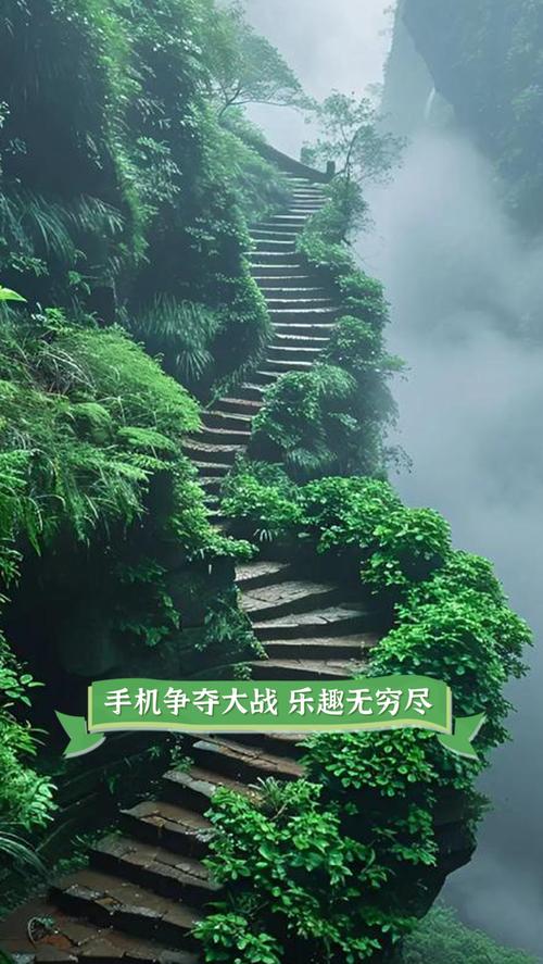 手机扔远比赛(世界扔手机大赛)