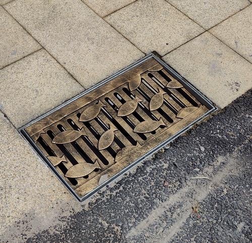 井盖变身迷你花园的简单介绍