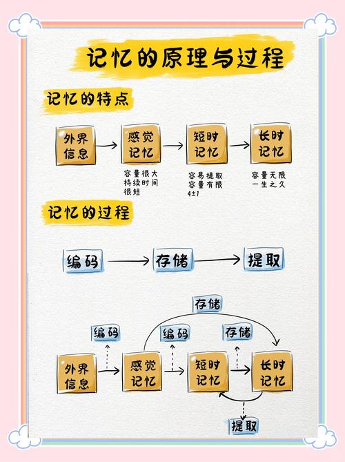 记忆机制(记忆机制讲解)