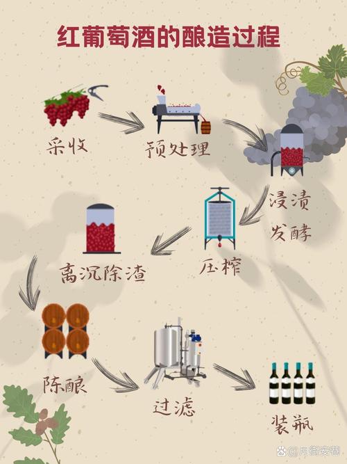 发酵原理(葡萄酒发酵原理)