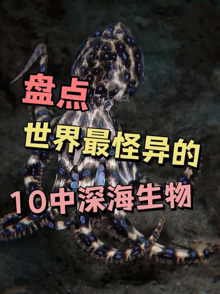 深海生物(深海生物名单大全)