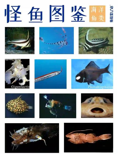 深海生物(深海生物名单大全)