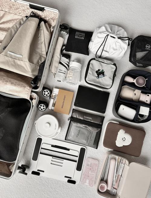 收纳技巧(行李箱整理收纳技巧)