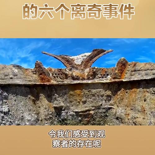 未解之谜(未解之谜真实事件)