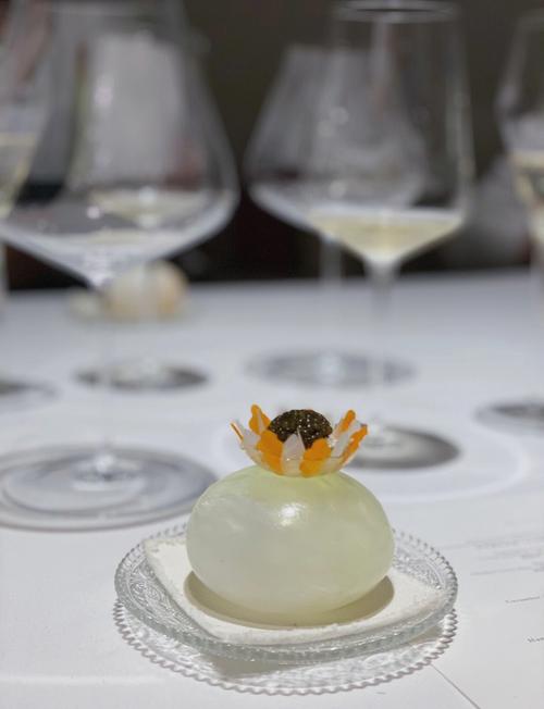 分子料理(创意菜谱图片和做法)