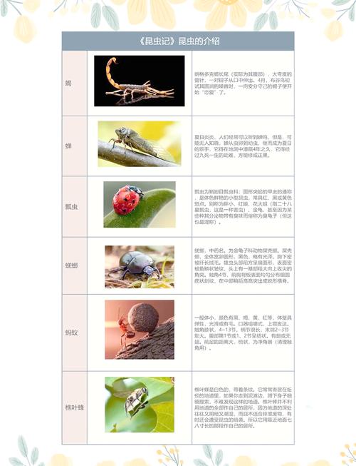 昆虫社会（昆虫社会与人类社会的关系）