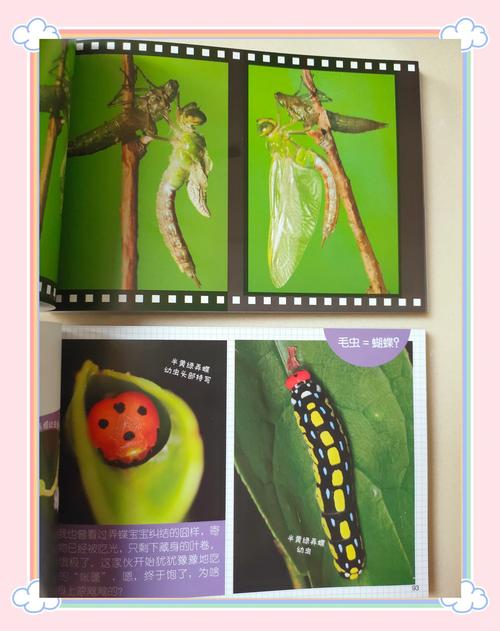 昆虫社会（昆虫社会与人类社会的关系）