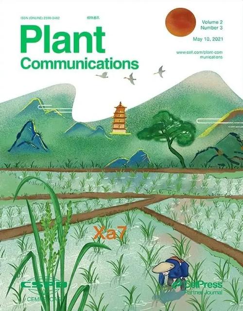 植物通讯(植物通讯杂志封面第一期)