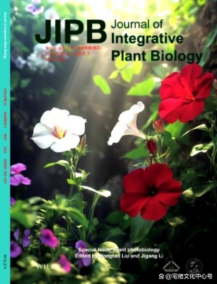 植物通讯(植物通讯杂志封面第一期)