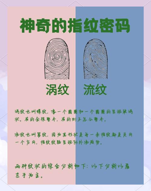 指纹的作用(人类指纹的作用)