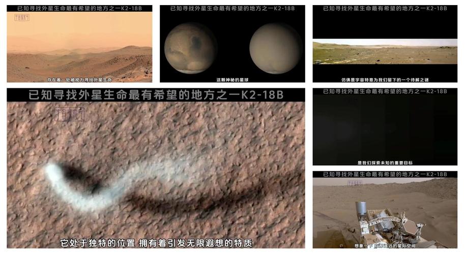 外星生命探索（外星生命探索的股票有哪些）