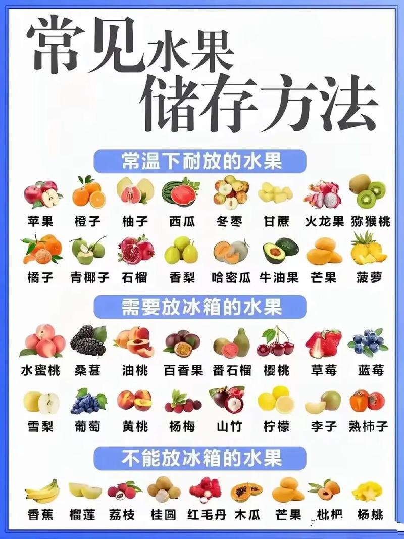 食物保存（食物保存的方法有哪些）