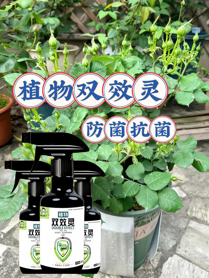 植物防御机制（植物防御的两种生物是）