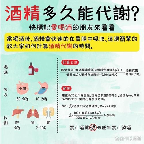 酒精代谢(酒精代谢半衰期)