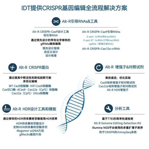 基因编辑（基因编辑治疗黄黑皮）