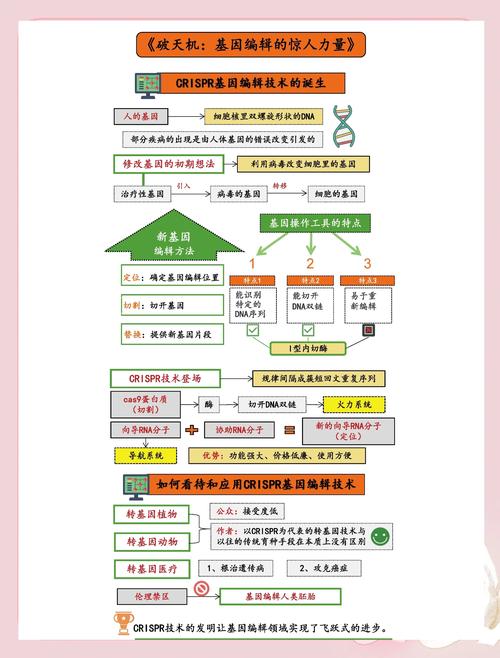 基因编辑（基因编辑治疗黄黑皮）