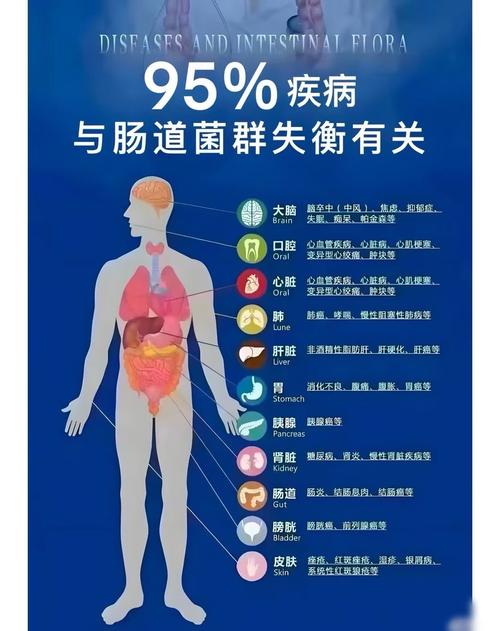 肠道与大脑如何通过饮食调节改善情绪(肠道和大脑的魔性关系)