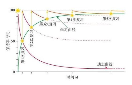 遗忘曲线的实战应用如何安排复习频率最高效（遗忘曲线如何使用）