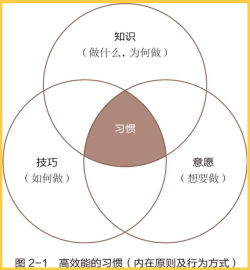 如何设计不依赖意志力的习惯流程（怎样才能做到不依赖一个人）