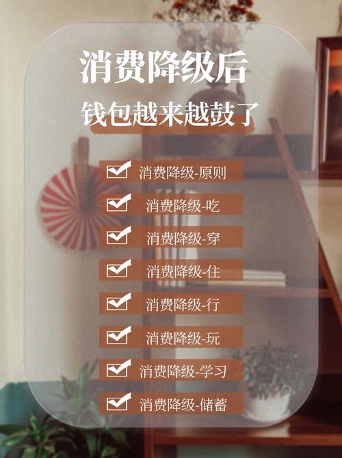 消费降级指南如何减少支出而不降低生活品质（降低消费不如增加收入）