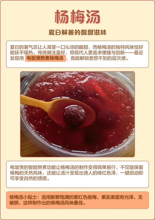 杨梅汤的做法(杨梅汤的做法与配方)