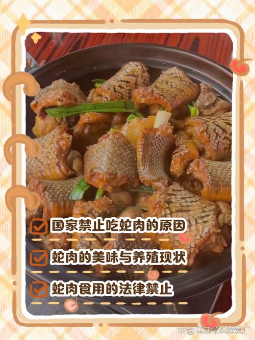 蛇肉的做法(蛇肉的做法大全)
