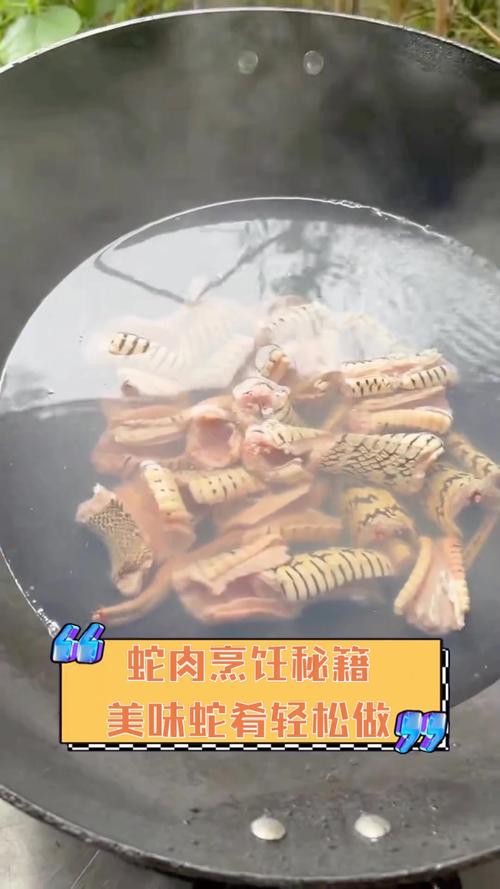 蛇肉的做法(蛇肉的做法大全)