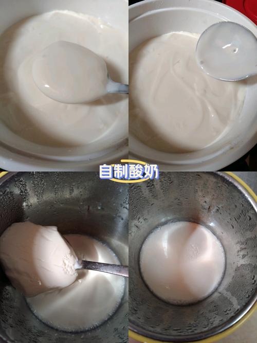 老酸奶的做法（家庭酸奶制作方法及步骤）