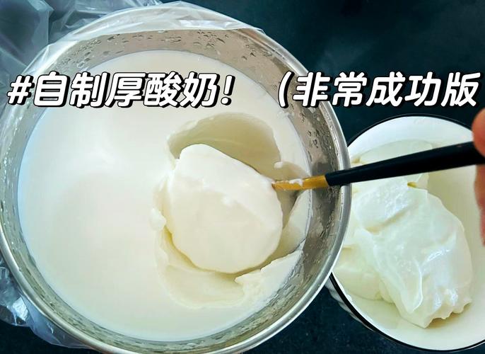 老酸奶的做法（家庭酸奶制作方法及步骤）