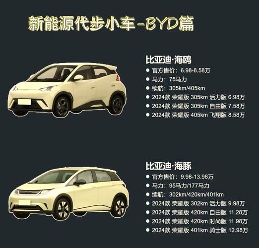 电动汽车报价（斯科拉电动汽车报价）